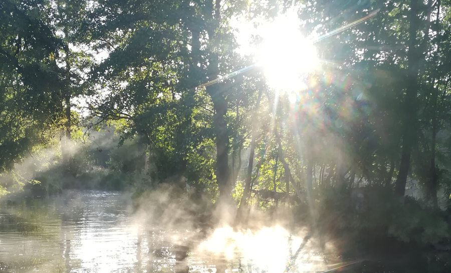 Sonnenlicht im Morgennebel über dem Wasser